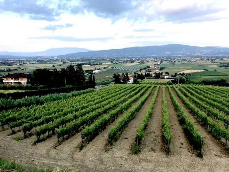 Agriturismo Chiorri
