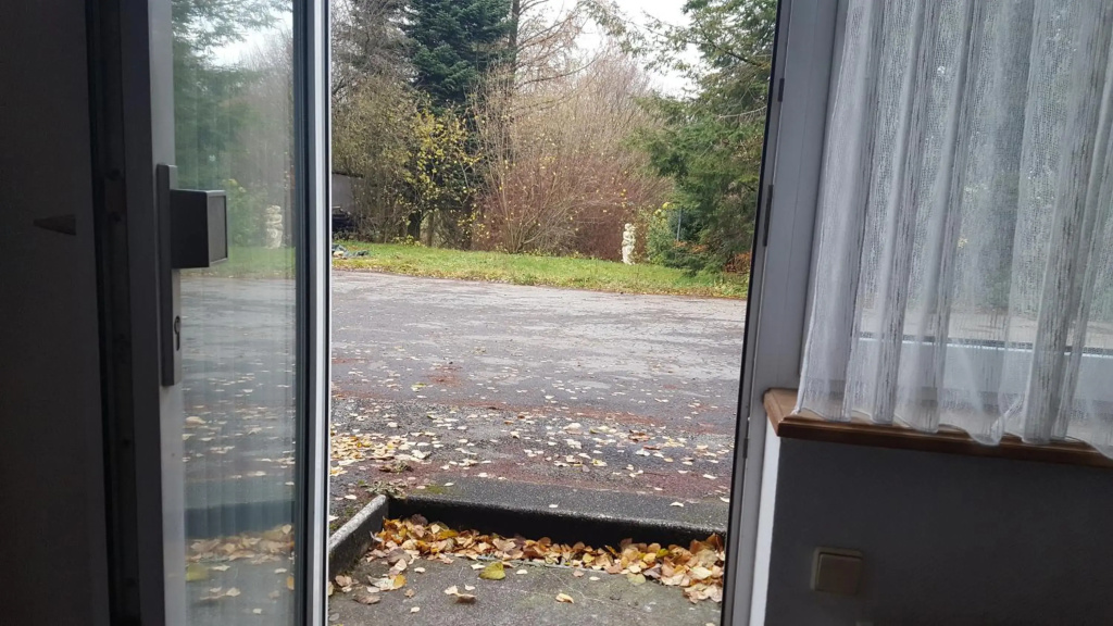 Zimmer im Grünen