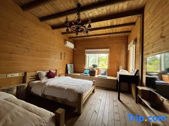 Standard Double room (2 twin beds)