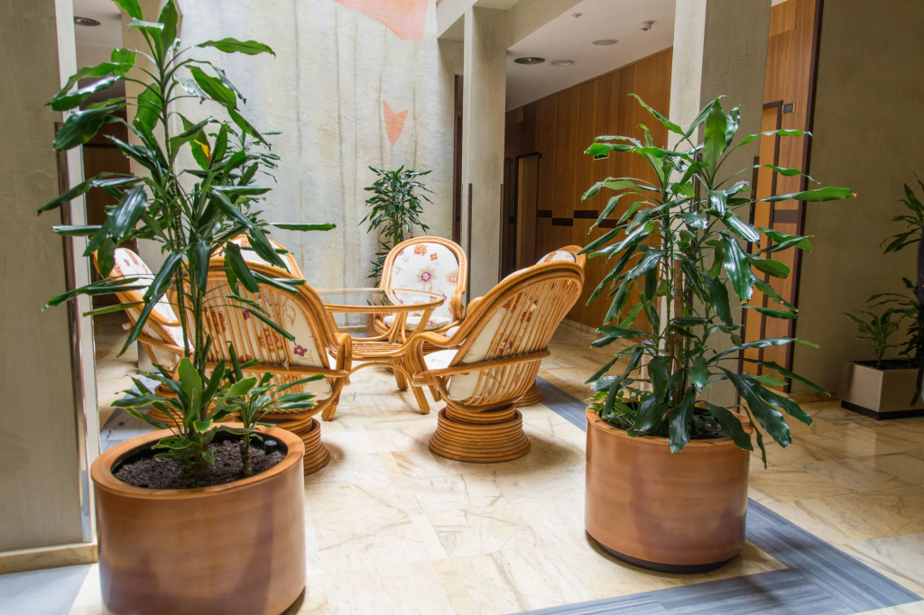Lobby & Reception