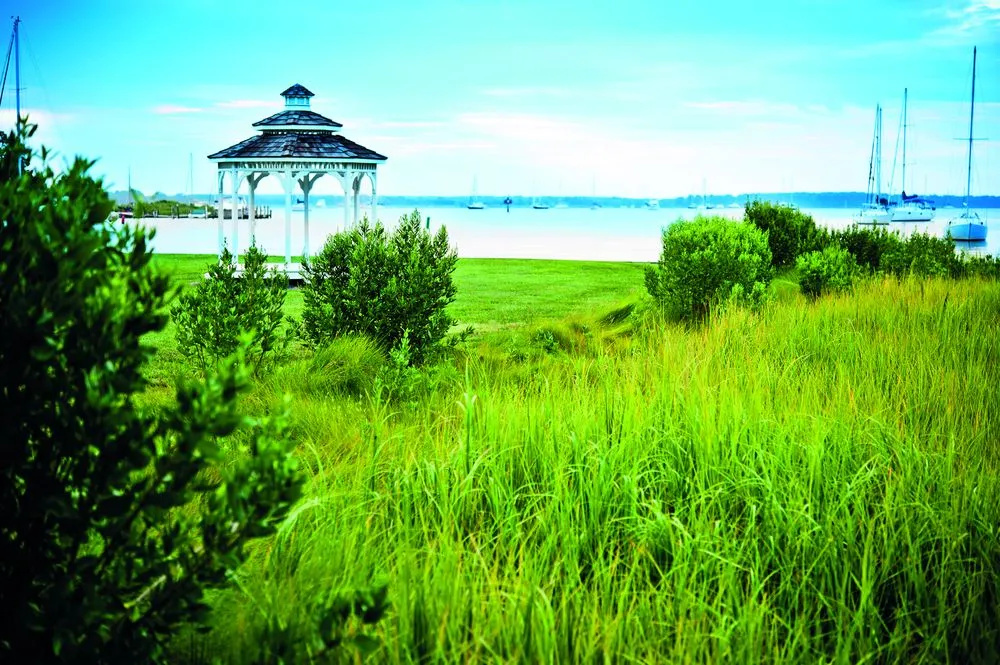 Beach & Waterfront