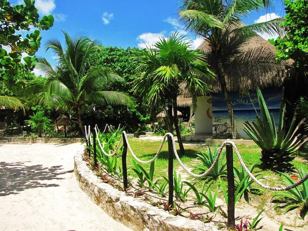 Beach & Waterfront