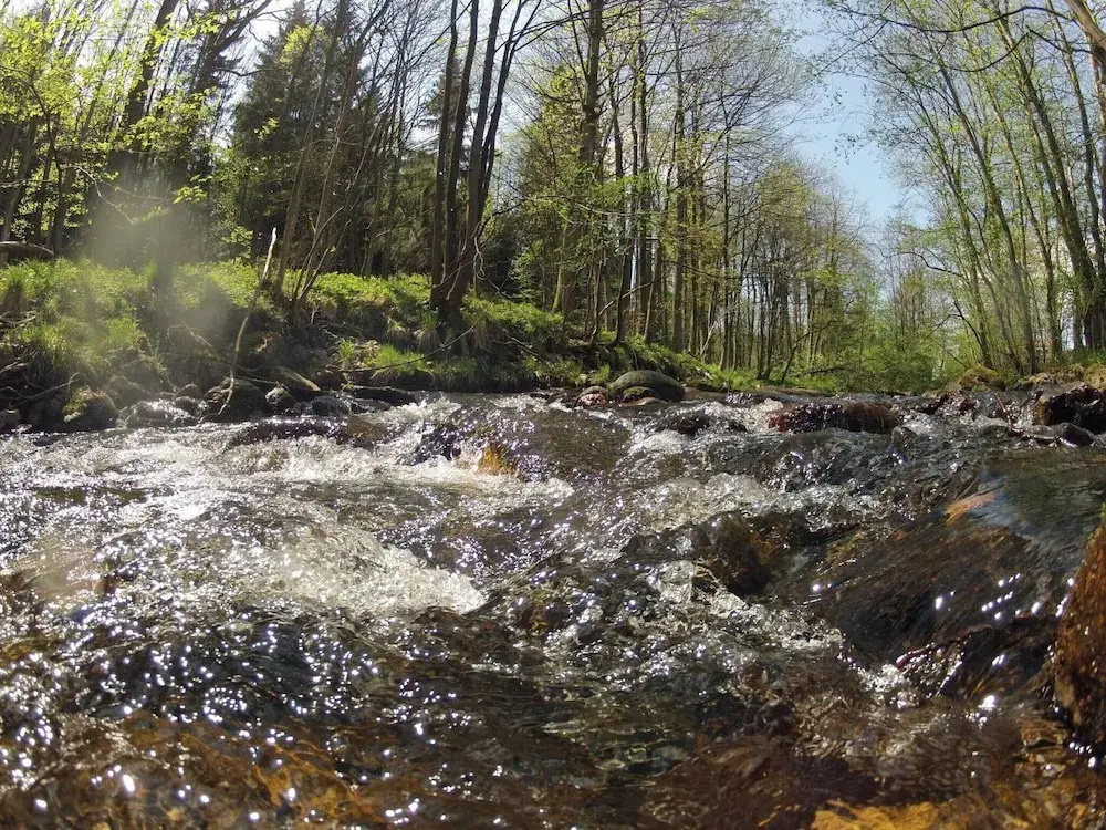 Doppelhaushalfte in Hasselfelde
