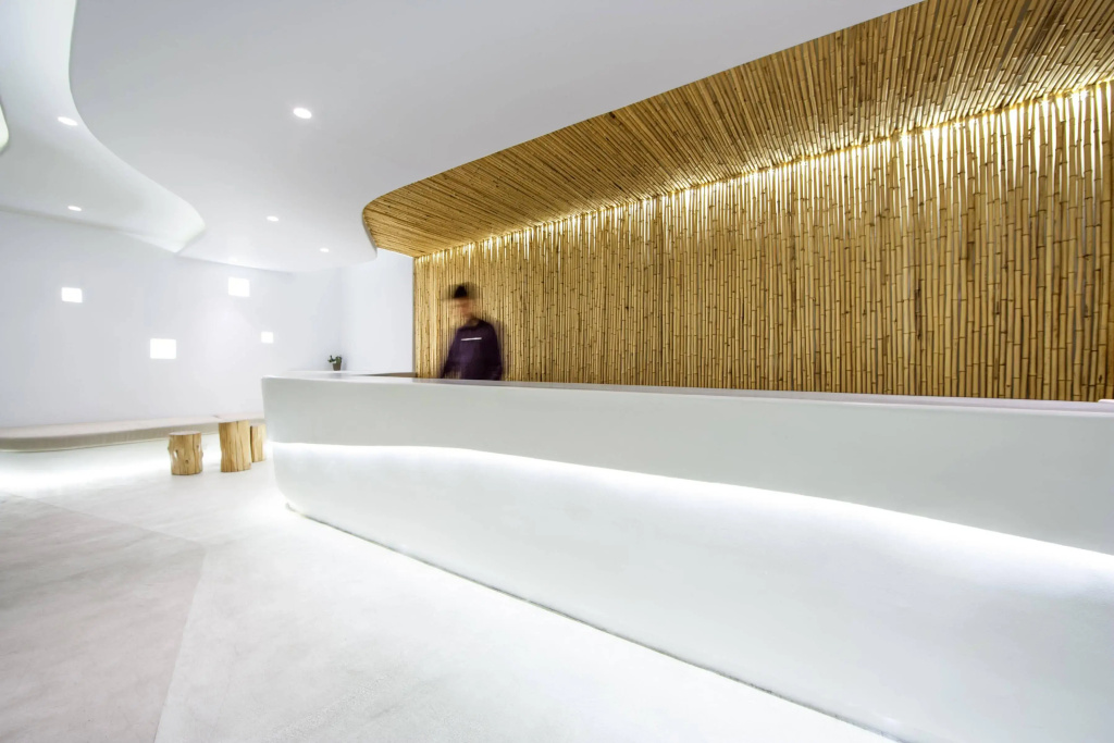 Andronikos Hotel - Adults Only - Général