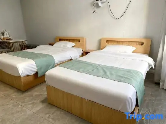 Standard Double Duplex room (twin beds)