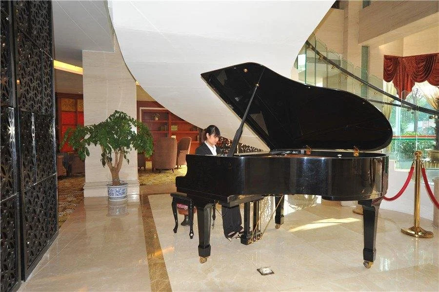 Mianyang Catalpol State International Hotel - Général