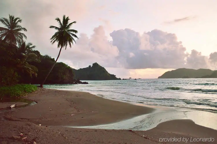 Beach & Waterfront