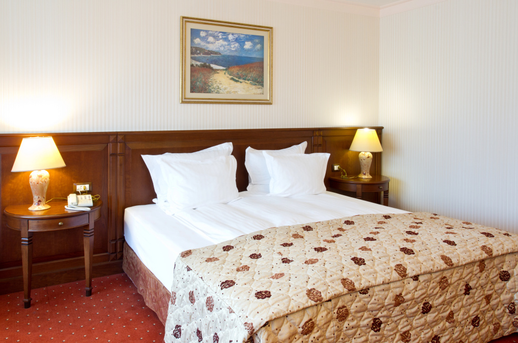 Crystal Palace Boutique Hotel - Général