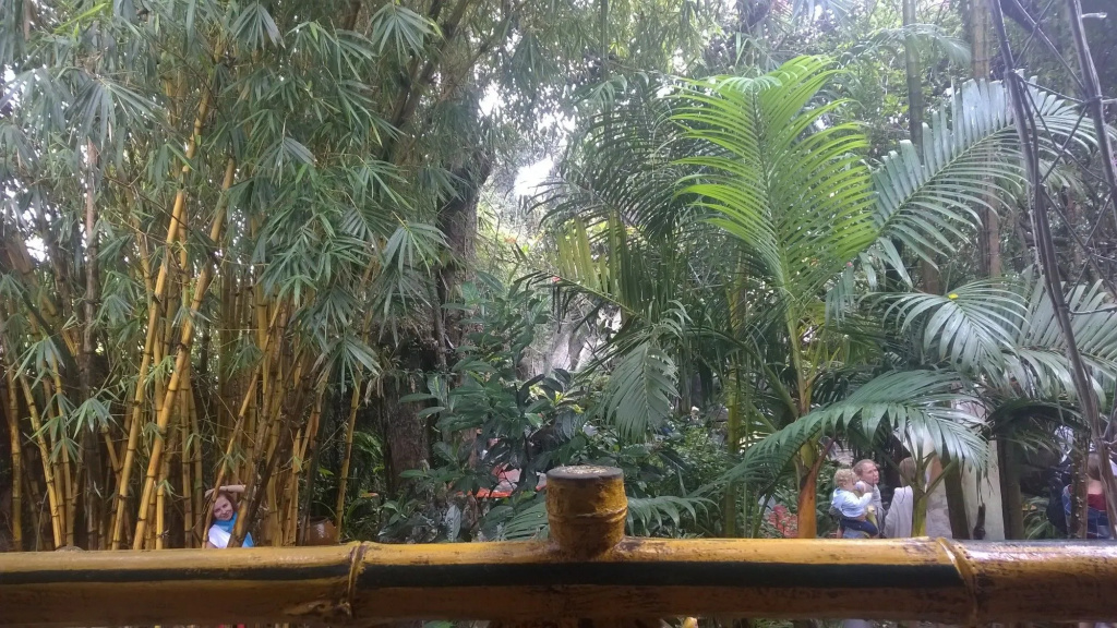 Hotel photo 29