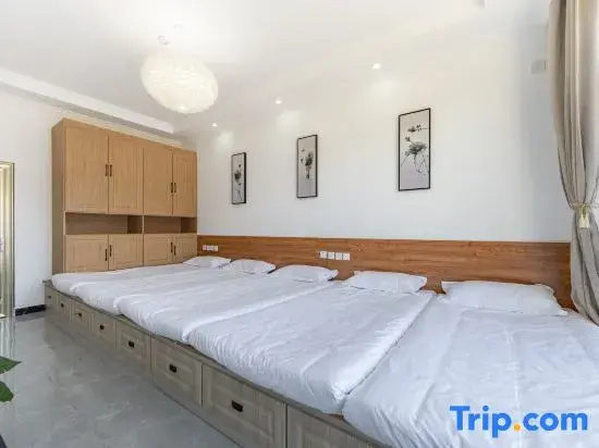 Bed in Dorm