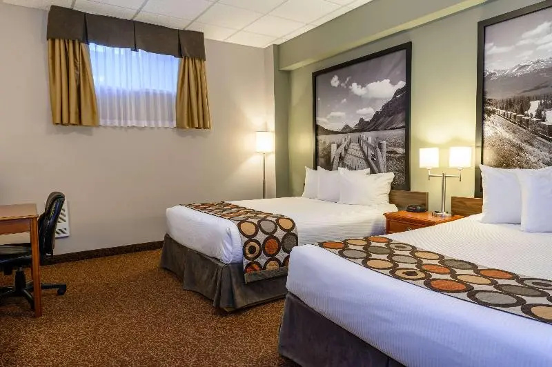 Standard Double room (twin beds)