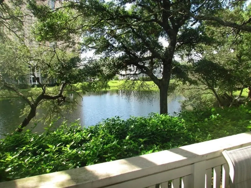 Richmond Park Three-bedroom Apartment 11-D