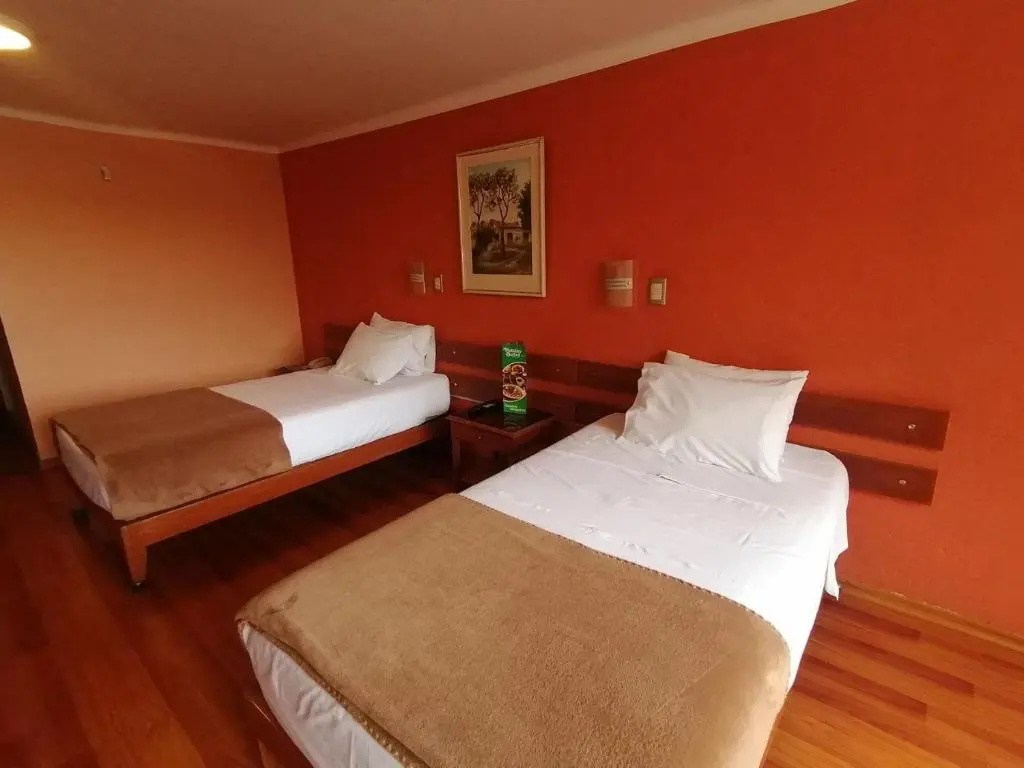 Standard Double room (twin beds)