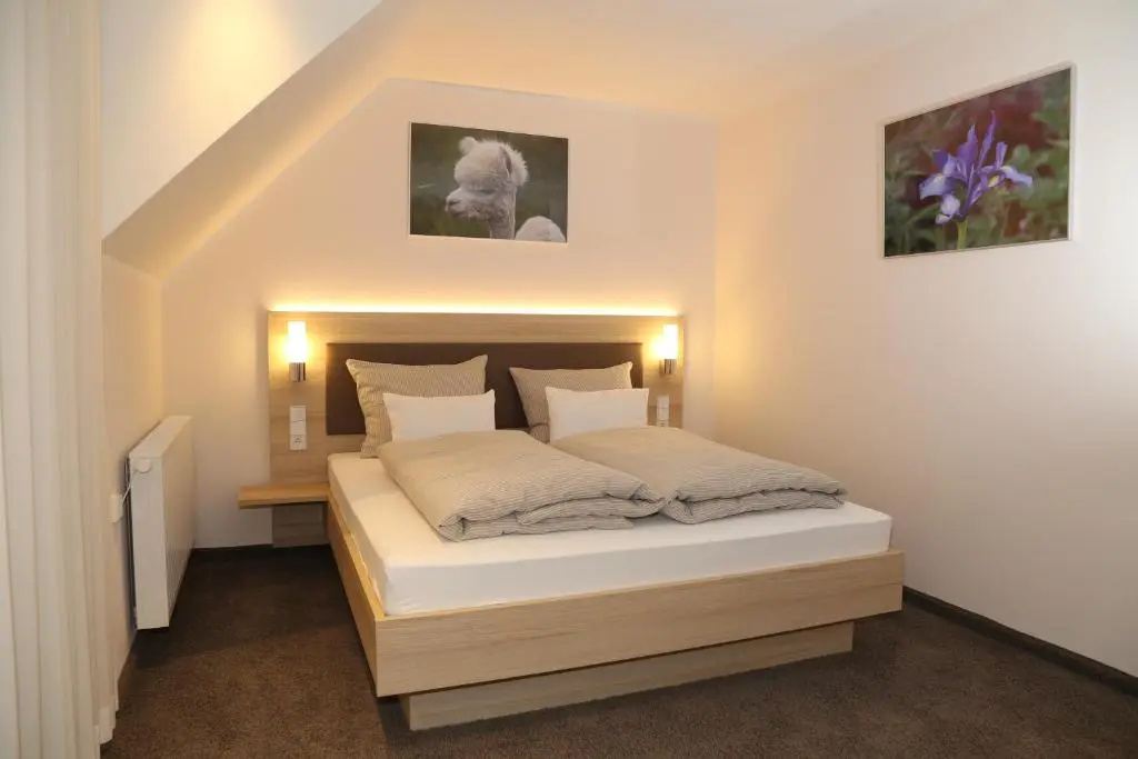 Standard Double room (full double bed)