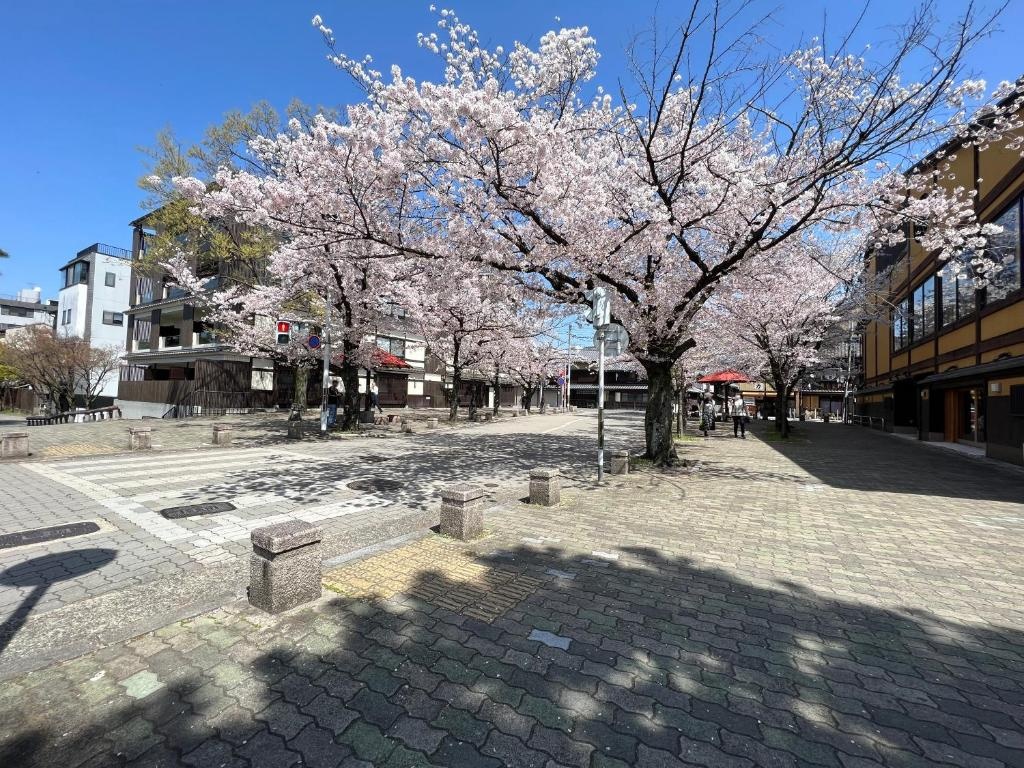 Rinn Gion Shirakawa 사진 40