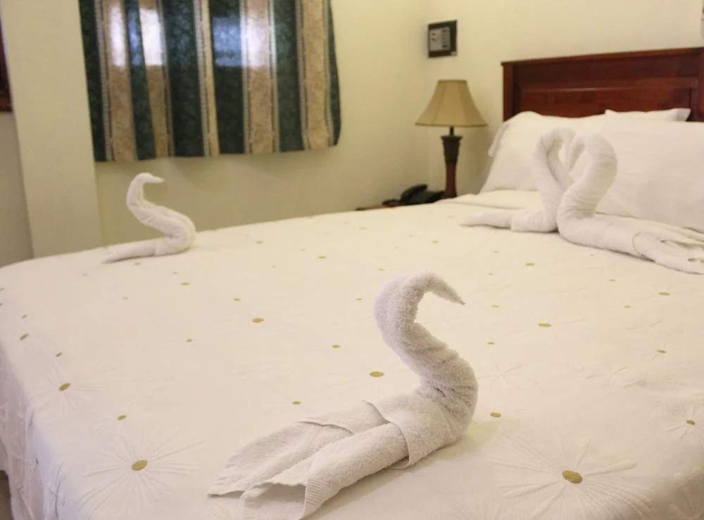 Hotel Salome 56 - Chambres