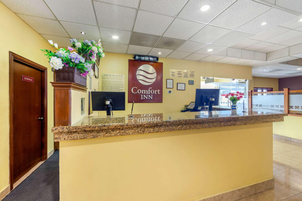 Lobby & Reception
