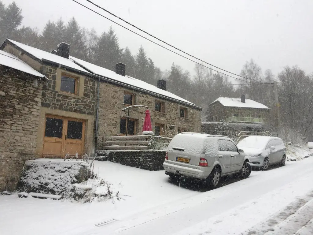 Lesse matinal - фото 10