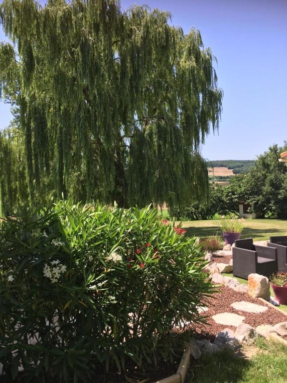 Domaine de la Vigne