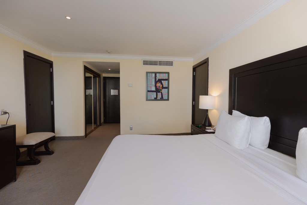 Dominican Fiesta Hotel - Général