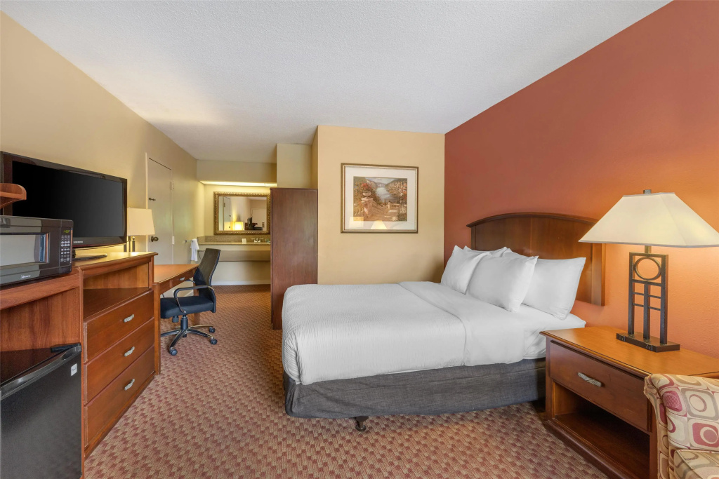 Standard Double room (full double bed)