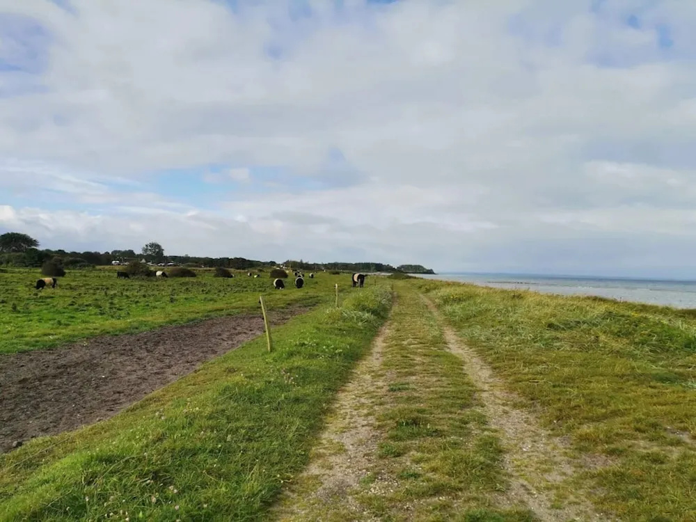 4 Star Holiday Home in Nordborg