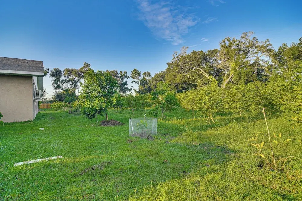 Tropical Tampa Home: Pets Welcome!