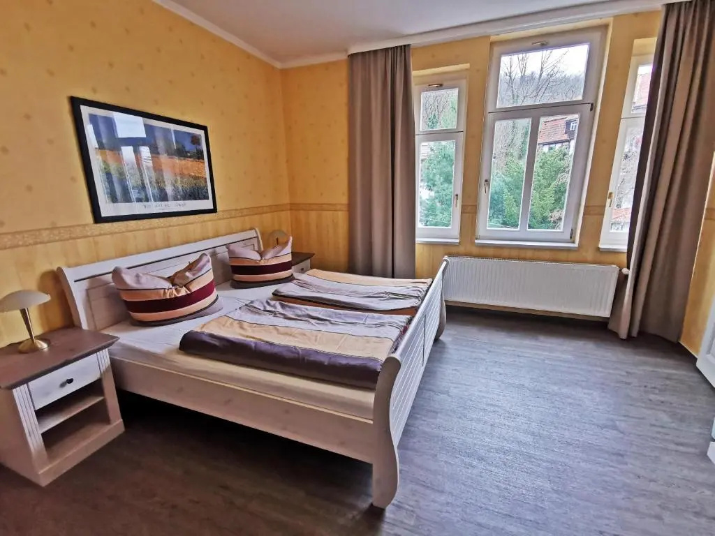 Standard Double room with mountain view (full double bed)