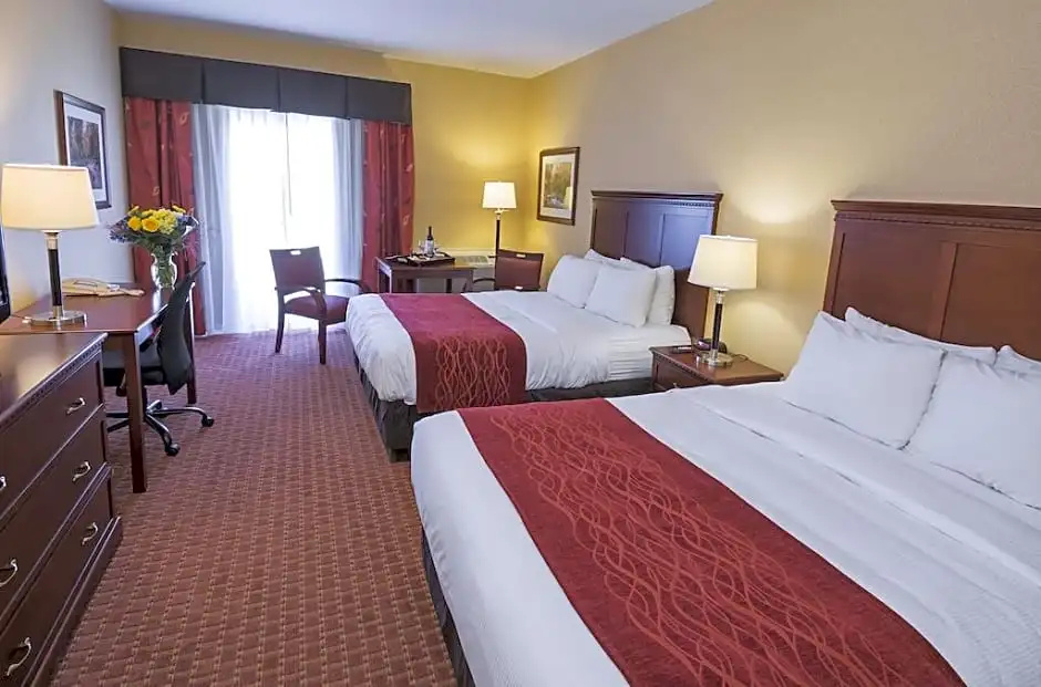 Comfort Hotel Airport - Chambres