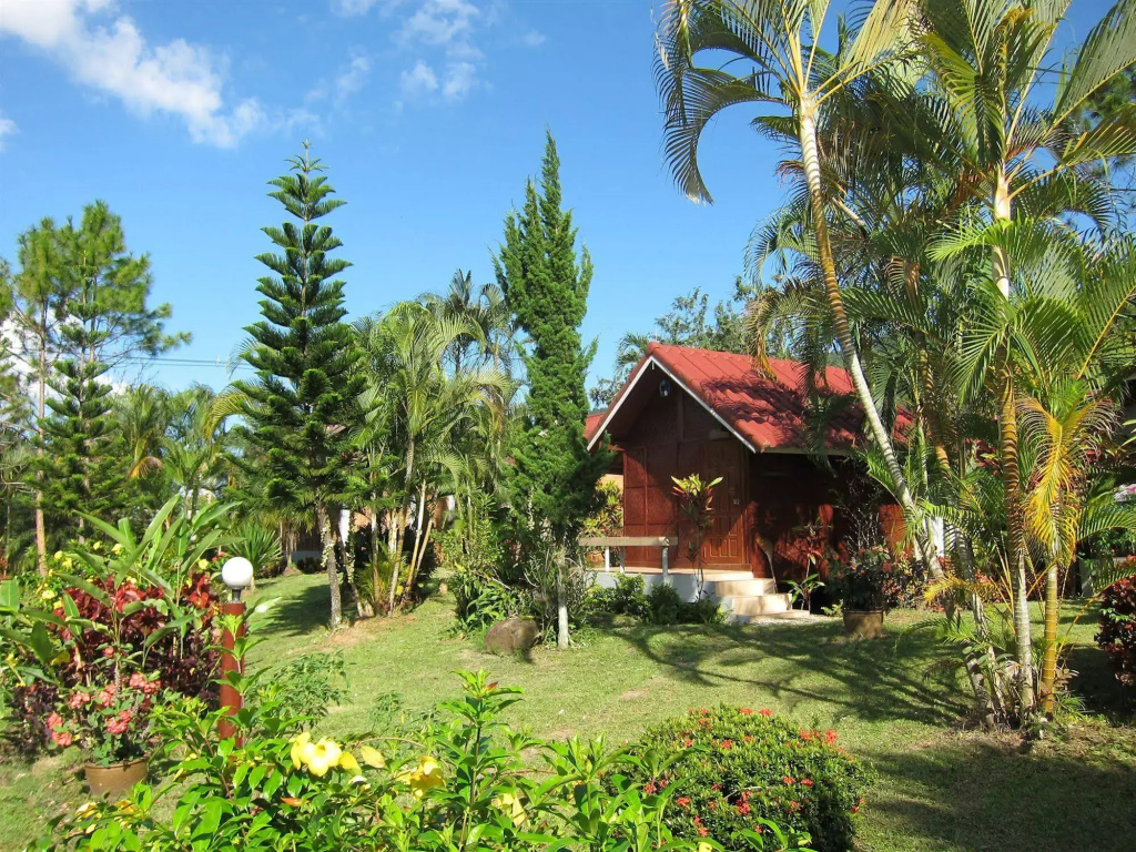 Thai Loei 300 Pee Resort - Général