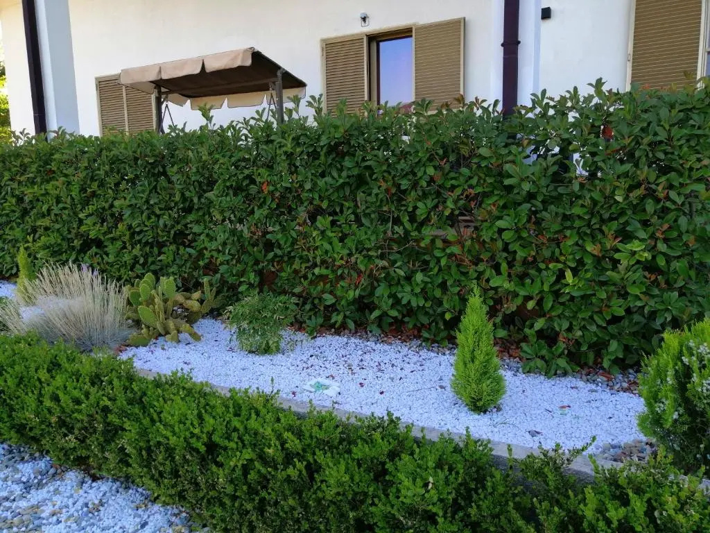 Mamma Puglia Suite & Breakfast - Chambres