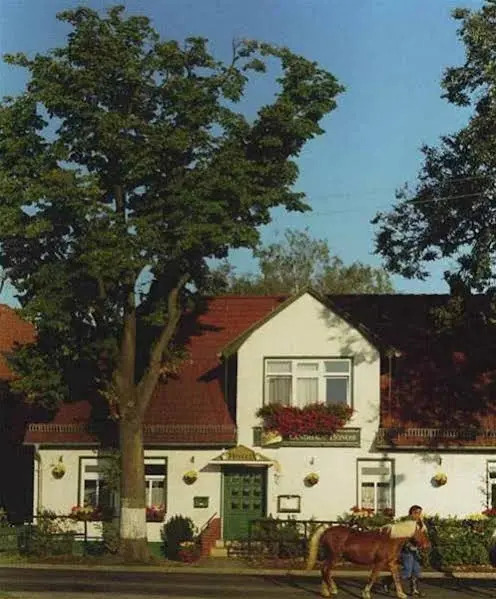 Image 13