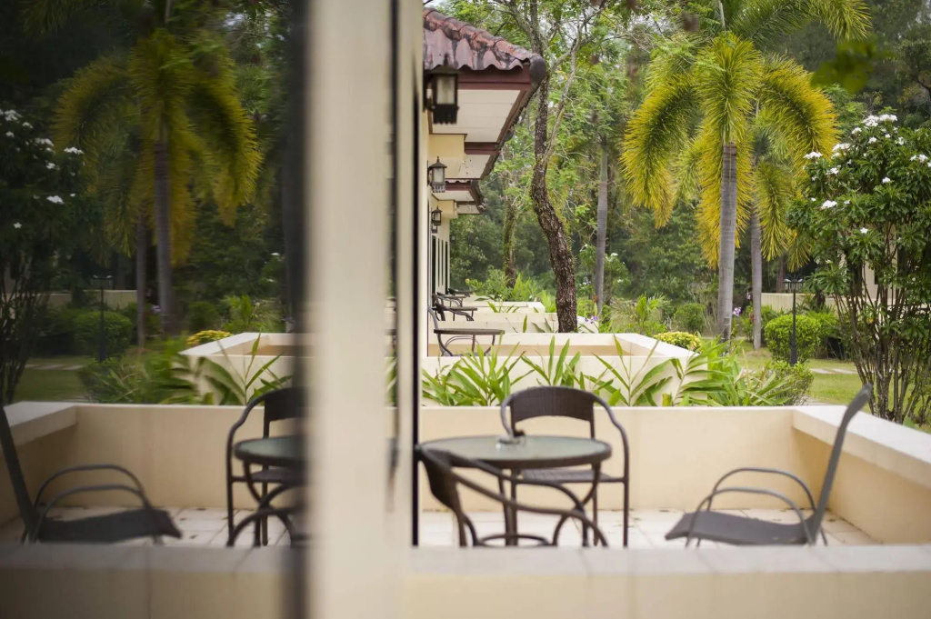 Hotel photo 11