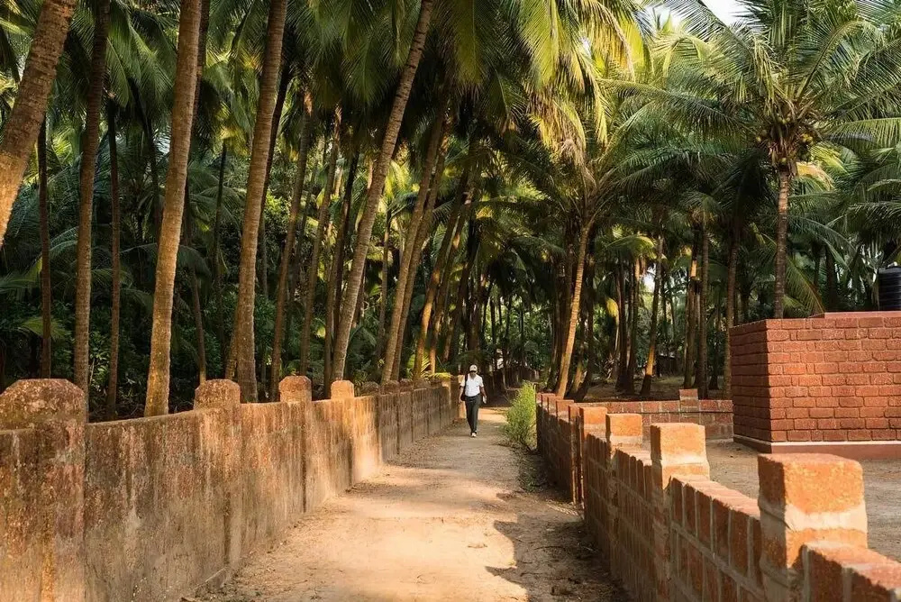 Mango Village Resort - Général
