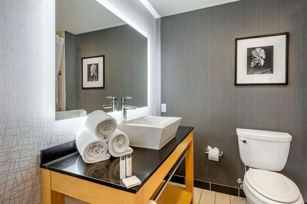 Cambria Hotel Minneapolis Maple Grove - Général
