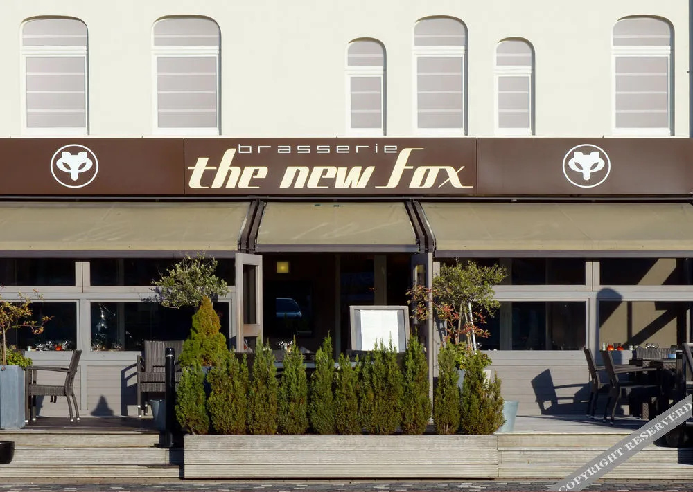 Hotel The New Fox