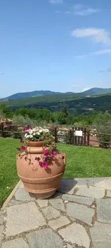 Poggio Al Sole - Général