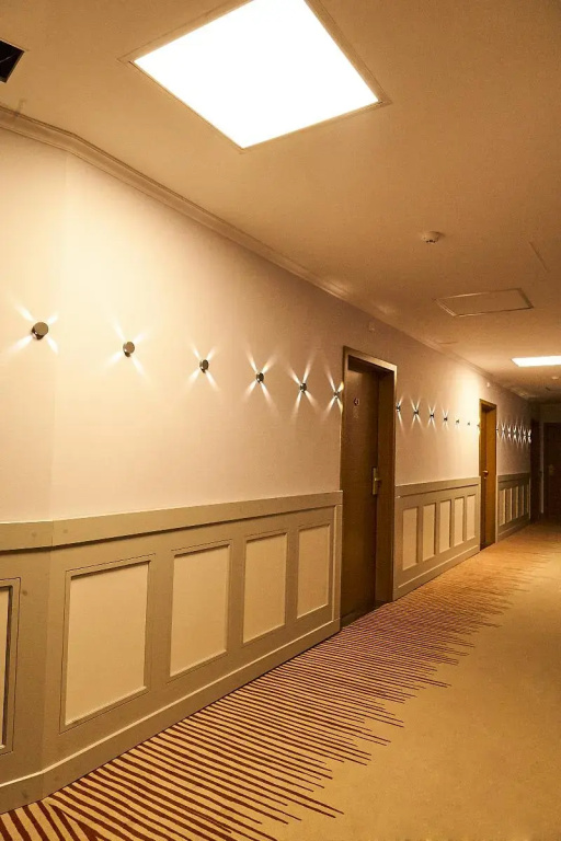 Hotel Lion Sofia - Général
