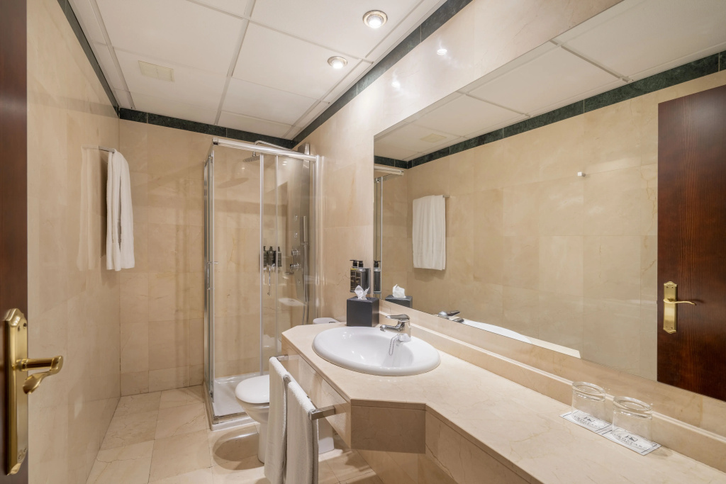 Eurostars Plaza Acueducto - Général