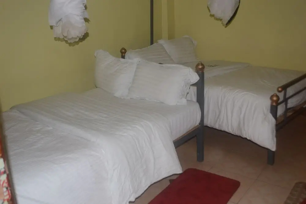 Standard Double room (twin beds)