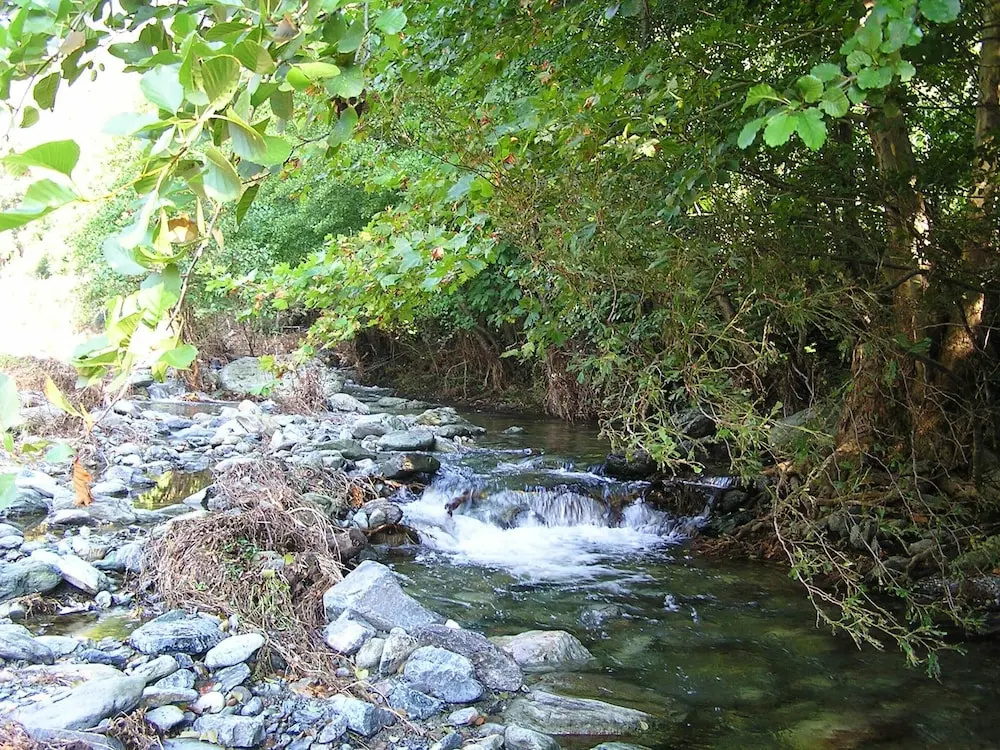 House With one Bedroom in Olmeta-di-capocorso, With Furnished Garden a