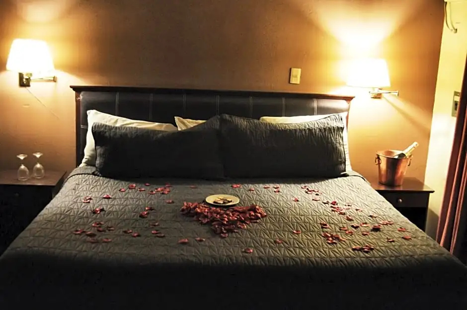 Hotel Flamingo Kristal - Chambres