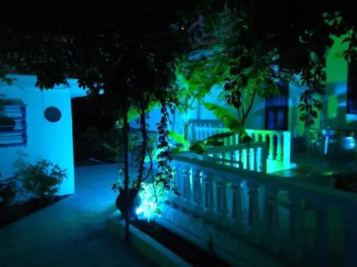 Iris Apartments