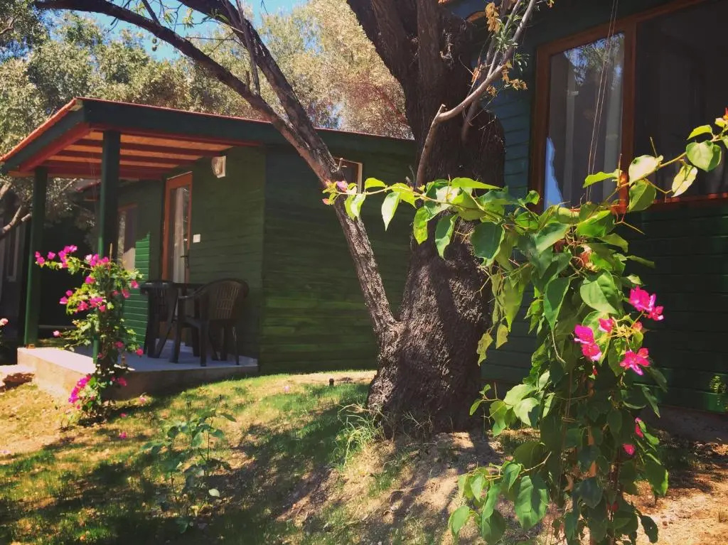 Family Bungalow