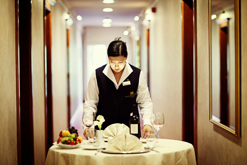 Grand Hotel Toplice - Sava Hotels & Resorts - Général