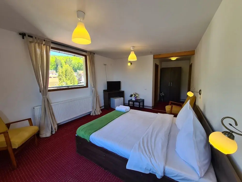 Standard Double room with mountain view (full double bed)