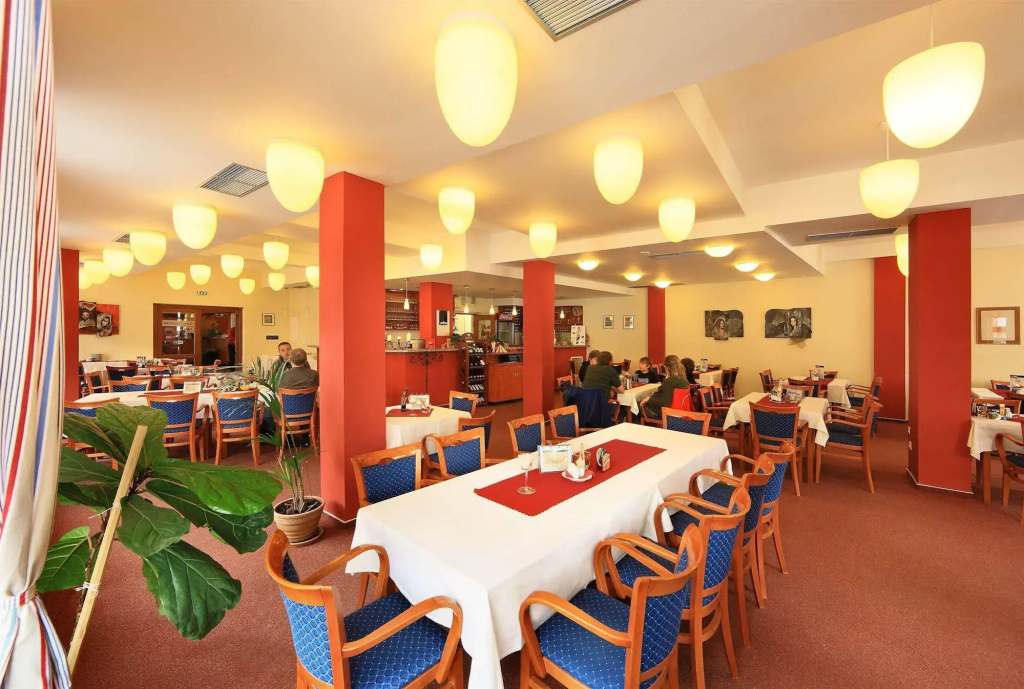 Hotel Záviš z Falkenštejna - Général