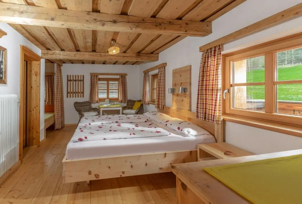 Standard Double room with mountain view (full double bed)