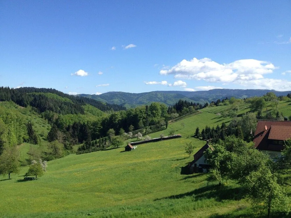 Höhenhotel & Restaurant Kalikutt - Général