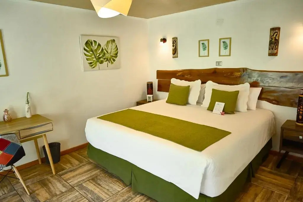 Standard Double room (full double bed)